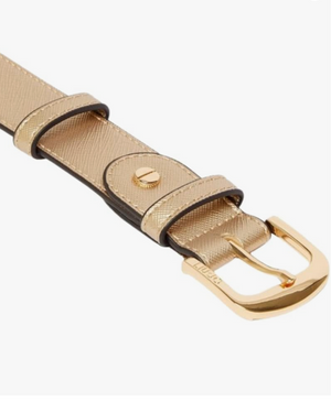 Liu jo Cintura - Ecp Hips Belt 3.5 cm - AA3306 E0087 - Light Gold